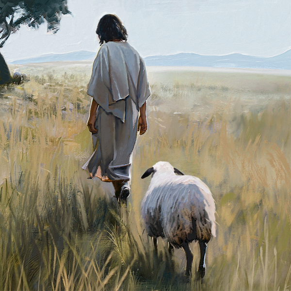 I Know My Sheep