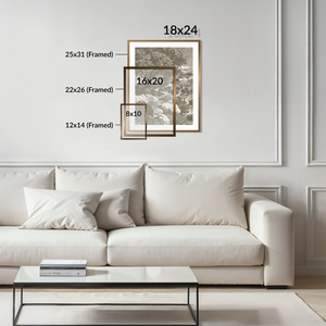 Jerusalem - Framed Glass Print