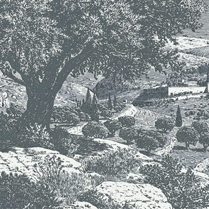Jerusalem - Framed Glass Print