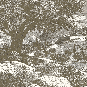 Jerusalem - Framed Glass Print