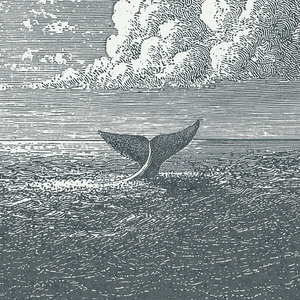 Jonah & The Whale - Framed Glass Print