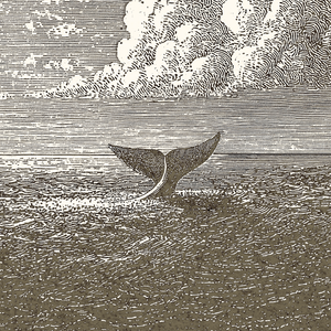 Jonah & The Whale - Framed Glass Print