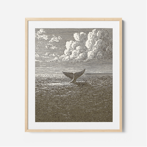 Jonah & The Whale - Framed Glass Print