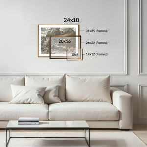 Noah's Ark - Framed Glass Print